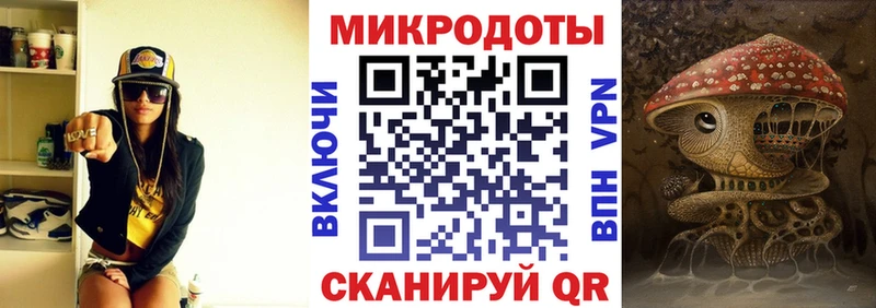 наркошоп  Болгар  Псилоцибиновые грибы MAGIC MUSHROOMS 
